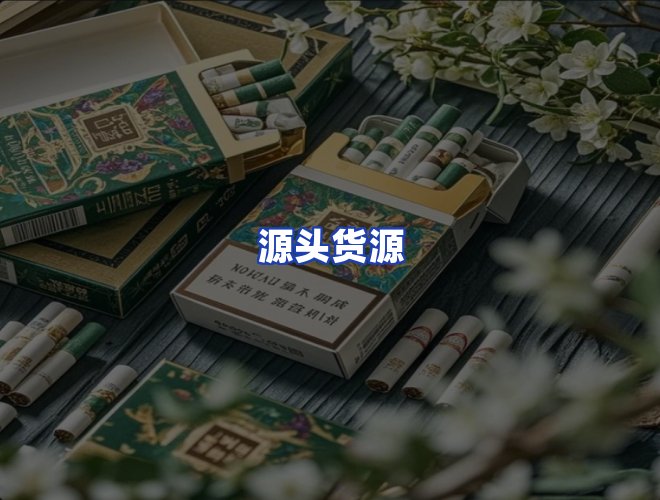 专业团队
